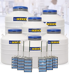 YDS系列，實驗室液氮罐